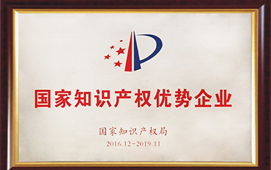 國家知識產(chǎn)權優(yōu)勢企業(yè)（2016）